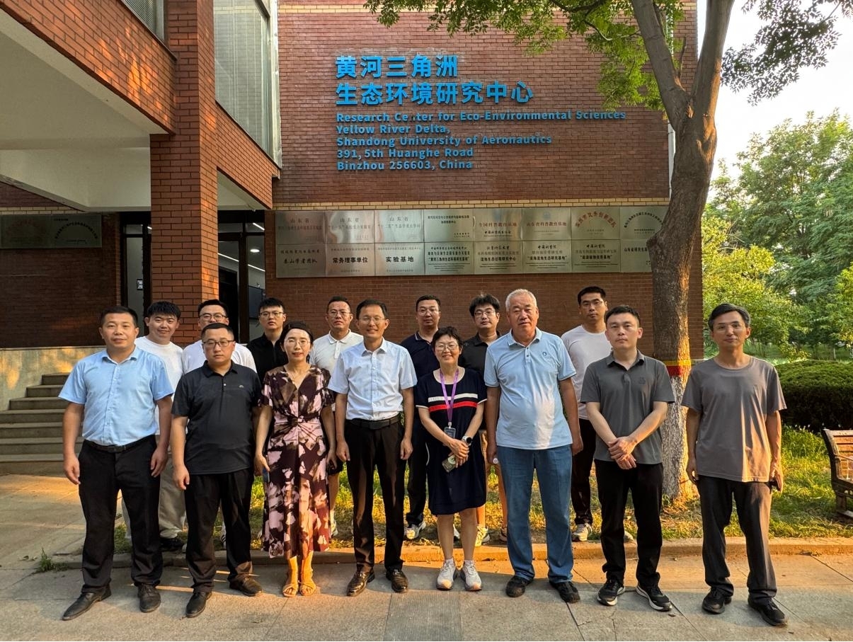 三级伦理片